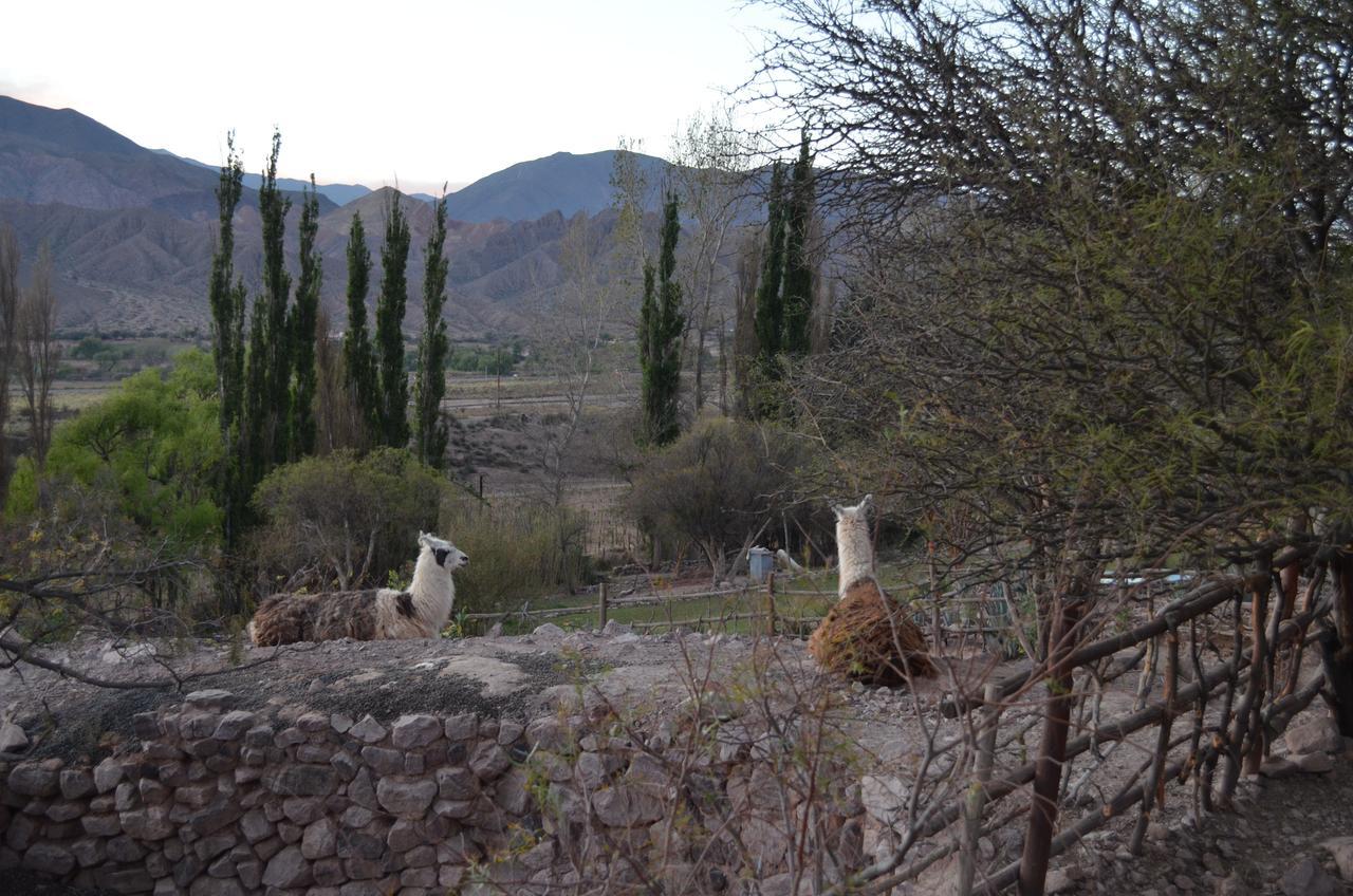 Cerro Chico Lo Del Frances Hotel ตีลการา ภายนอก รูปภาพ
